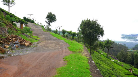 Plot 13 and 14 Adar Estate - Road approach