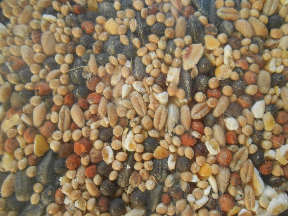 Mélange « Tourterelles »