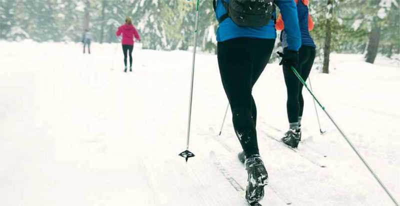 Skiiers cross country skiing in forest