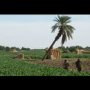 Sudan Dongola Villages