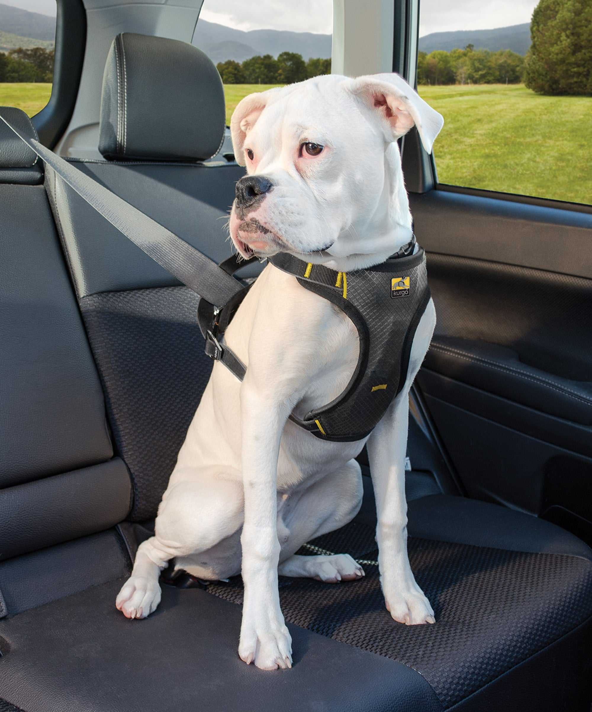 Product How To: Kurgo Impact Dog Car Harness