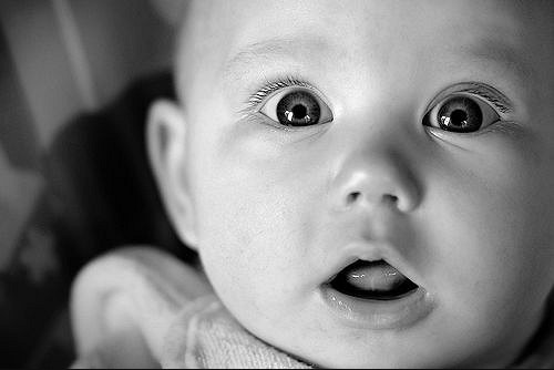 Refactor without tests? You've got to be kidding me!