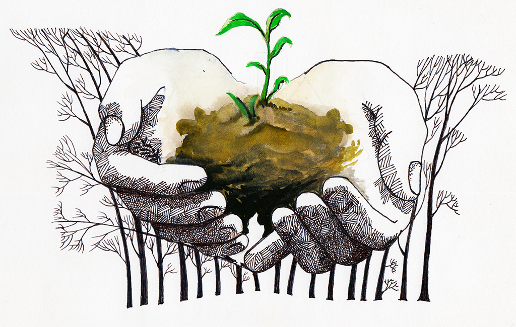 Don't Throw the Seeds Away