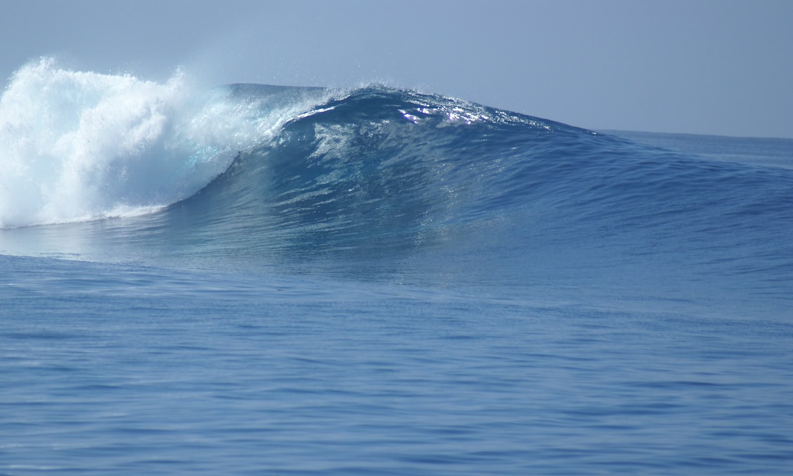 Maldives Surf Charter Guide
