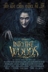 cover Into the Woods