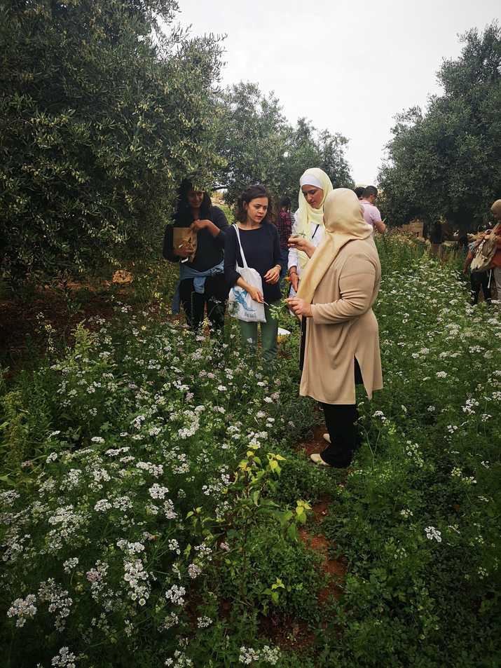 Wild foraging and salad making workshop at Eira Village, Jordan (2019)
