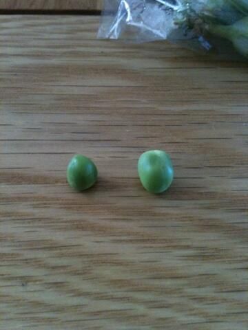 oh my god twitter doesn’t include alt text from images in their API