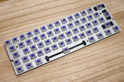 The plate with PCB and switches mounted.