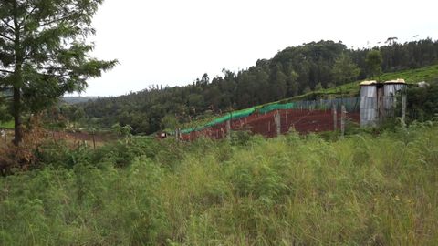 Overview of the plot
