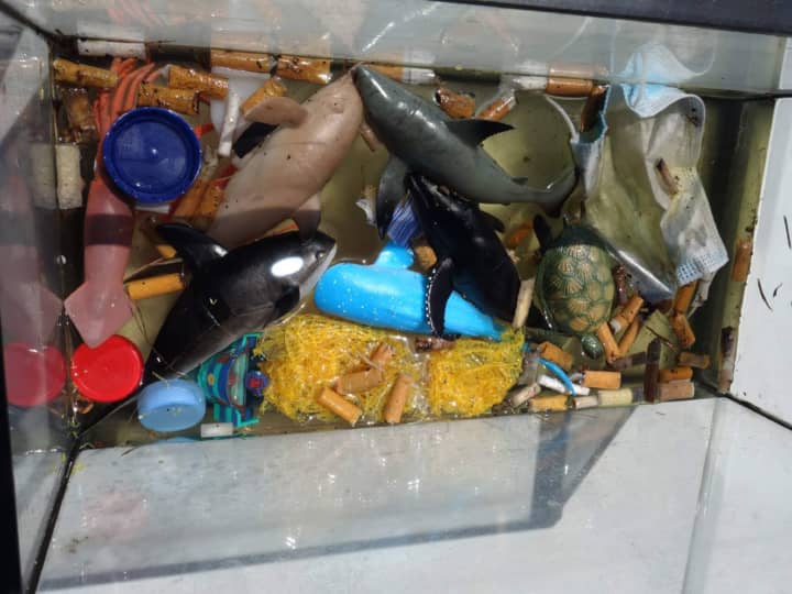 Aquarium remplit de déchets