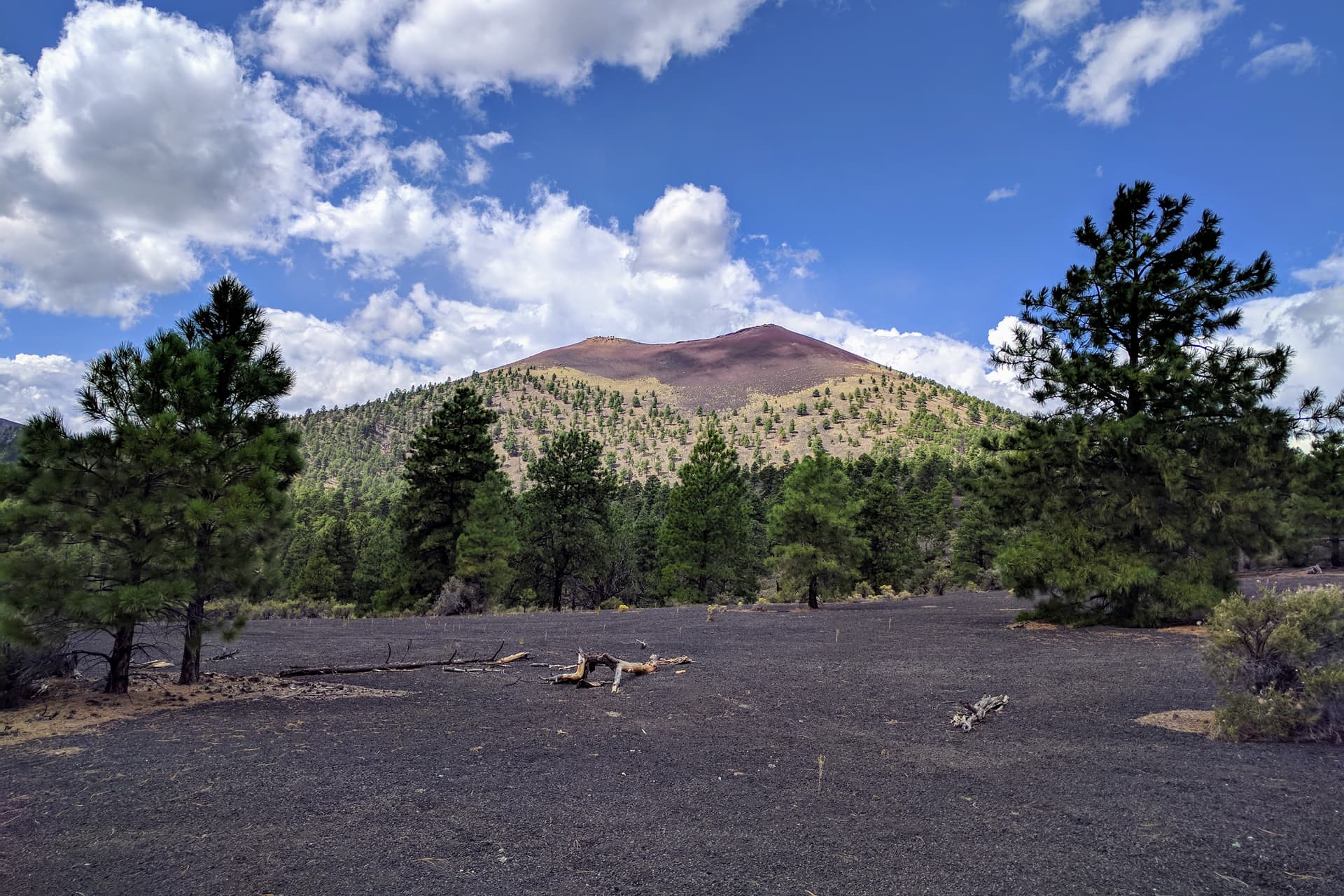 A clearing in a pine forest. The ground is covered in fine volcanic cinders. Beyond the clearing, a steep cinder cone with a distinctive red crater rim.
