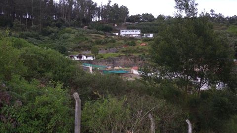 View from the plot