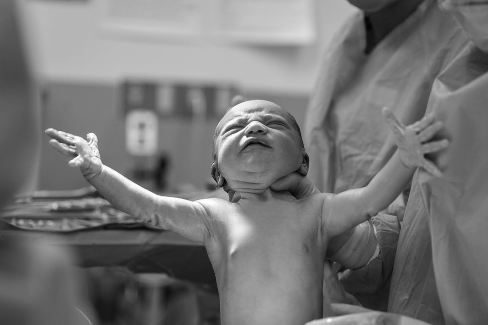 Photo Credit Alex Hockett Reaching for life