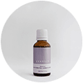 Skin Care Product Concentrates by lovesoul Shop