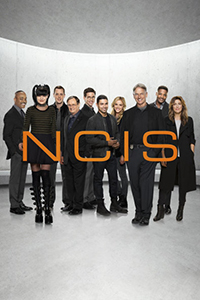 200-NCIS-Season-14-Cast-Promotional-Poster-nick-torres-40384018-395-593.jpg