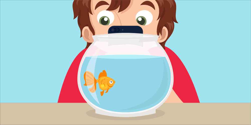 Humans have shorter attention spans than goldfish
