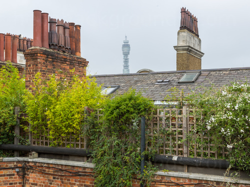 Urban brick house slate roof top featuring tall chimneys with red pots of various design against cloudy sky and distant tower Skype background