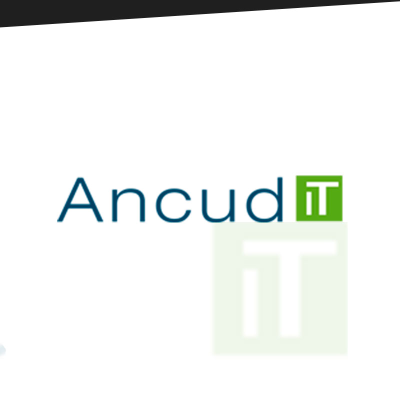 Ancud IT