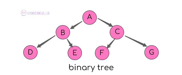 binary trees introduction and its types
