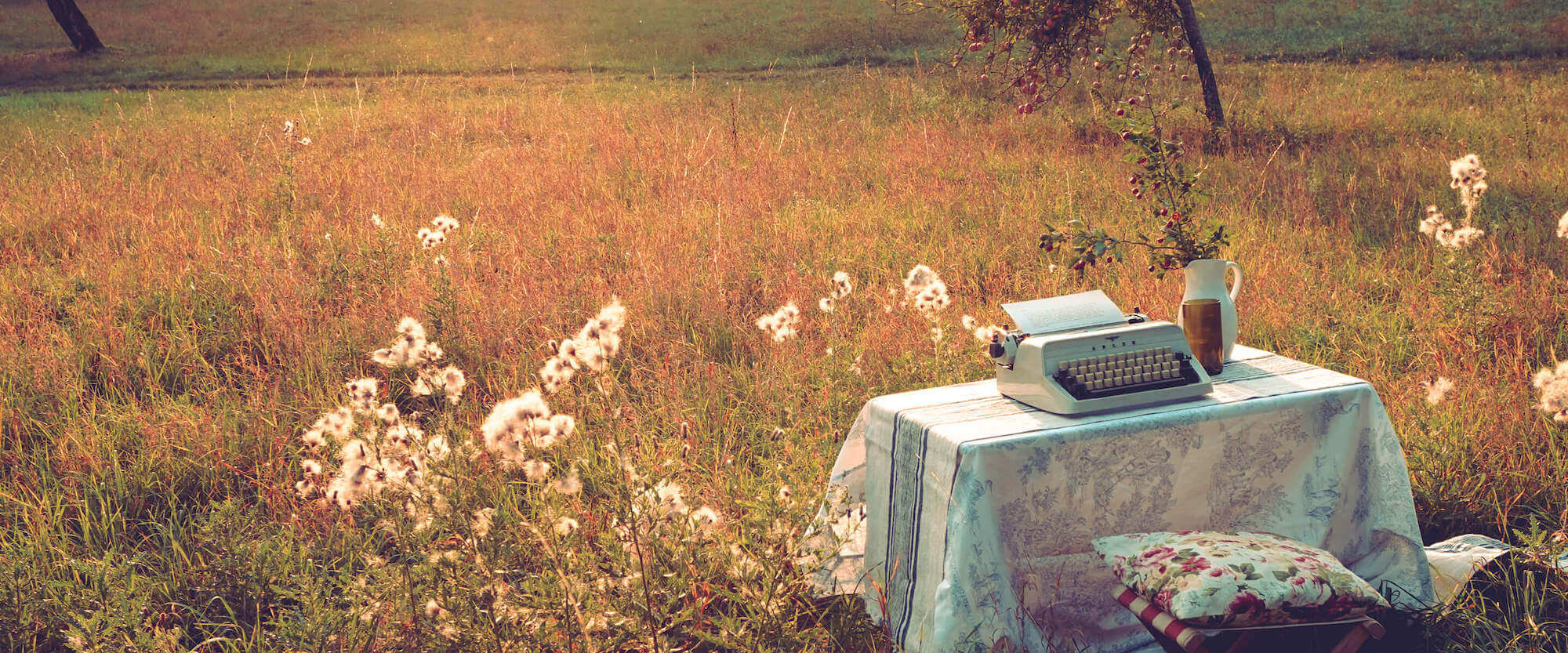 For Food & Love – A typewriter in a field at sunset