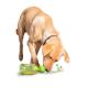 Meal & Treat Dispensing Dog Toy