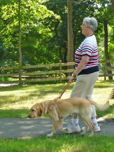 Katherine Schneider walking outside with her seeing-eye dog