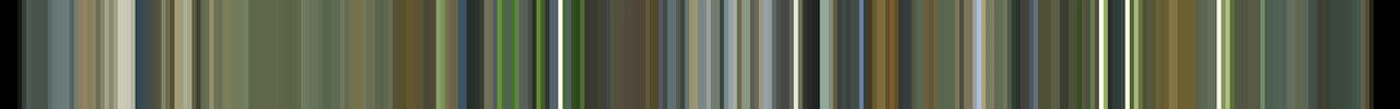 A barcode of colors from the vid Timebomb