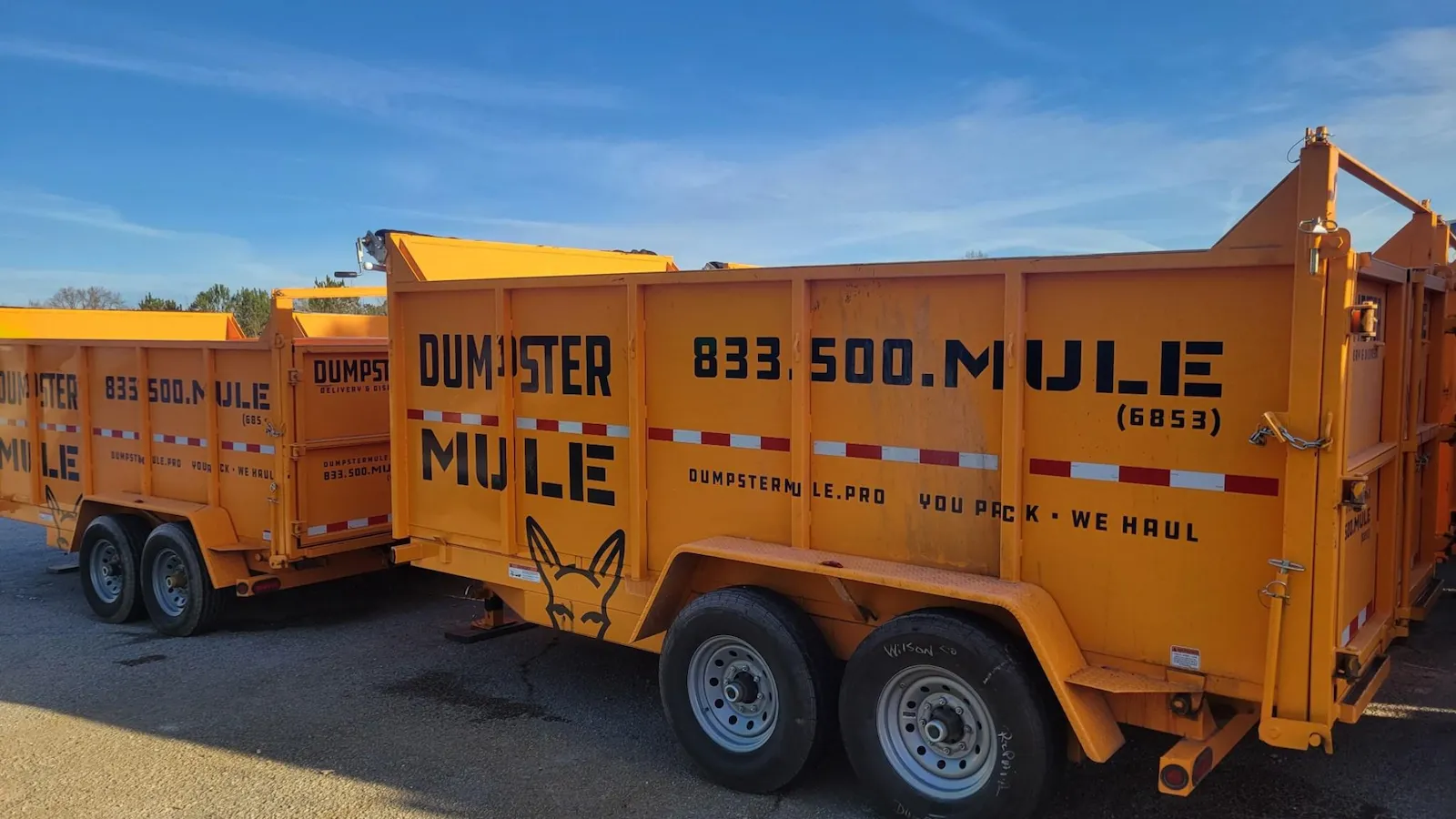 5 Questions to Ask Before Renting a Dumpster - Dumpster Mule