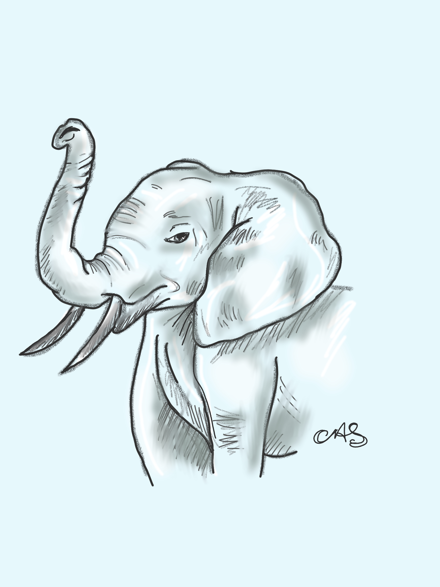 Elephant Elephant