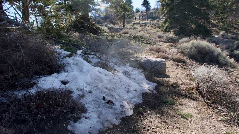 Snow on the trail