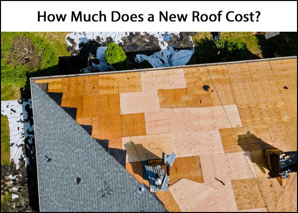 Cost to Replace a Roof