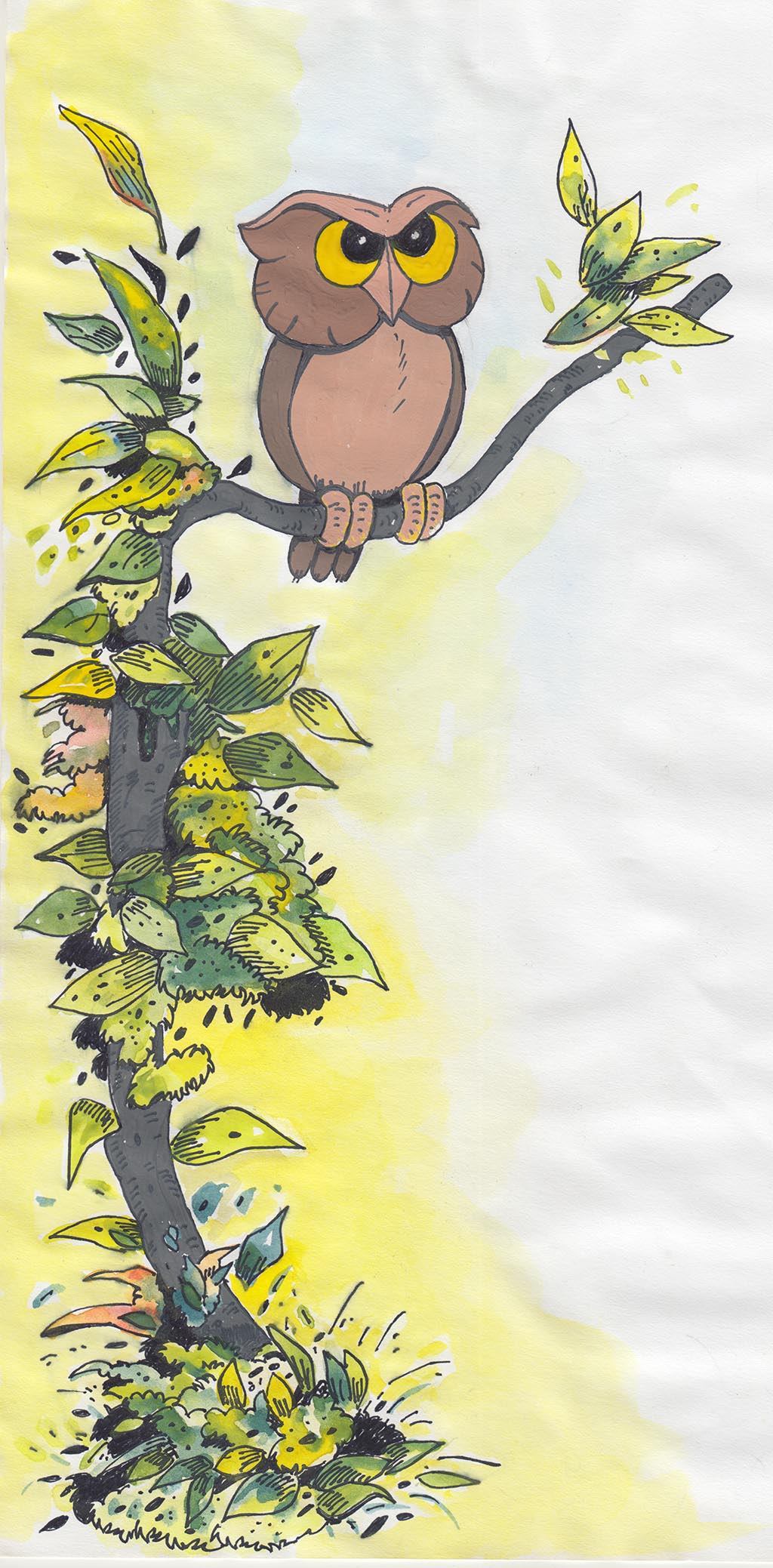 The Jungle Contest