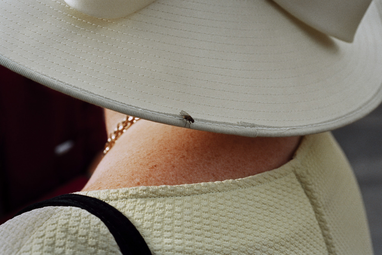 Martin Parr, Galway Races. Ireland 1997. From Luxury. Courtesy of Magnum Photos