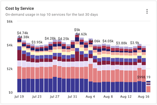 Cost by Service report widget on the Pulse dashboard.