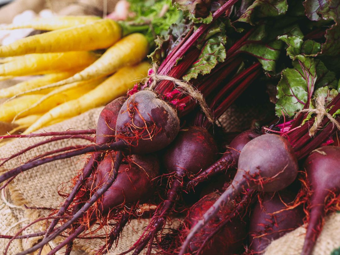 Bunches of red beets and yellow carrots