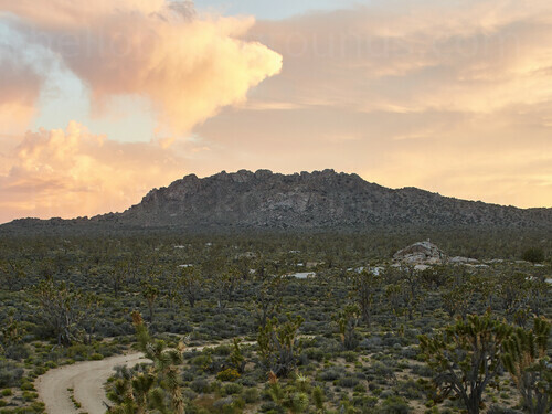 Desert scene with green shrubbery and mountains in the distance Zoom background
