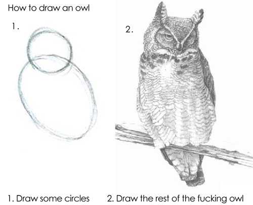 on the left are two drawn circles and on the right is a fully rendered owl with the caption 'draw the rest of the fucking owl'
