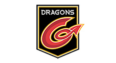 Dragons Dragons