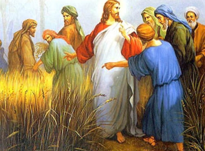 Matthew 13 36 43 Church Of The Holy Name Of Mary