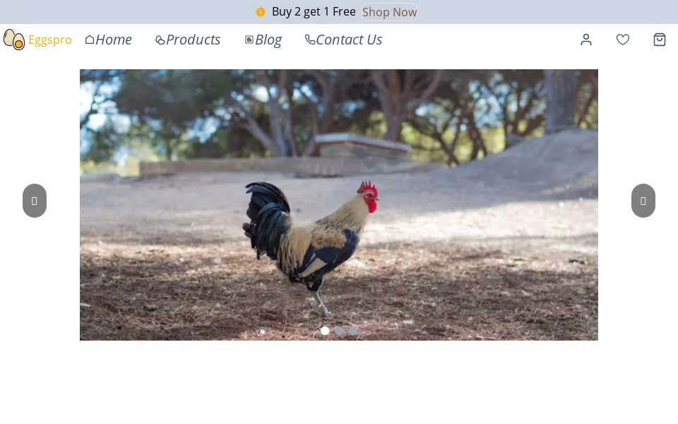 E-Commerce Website