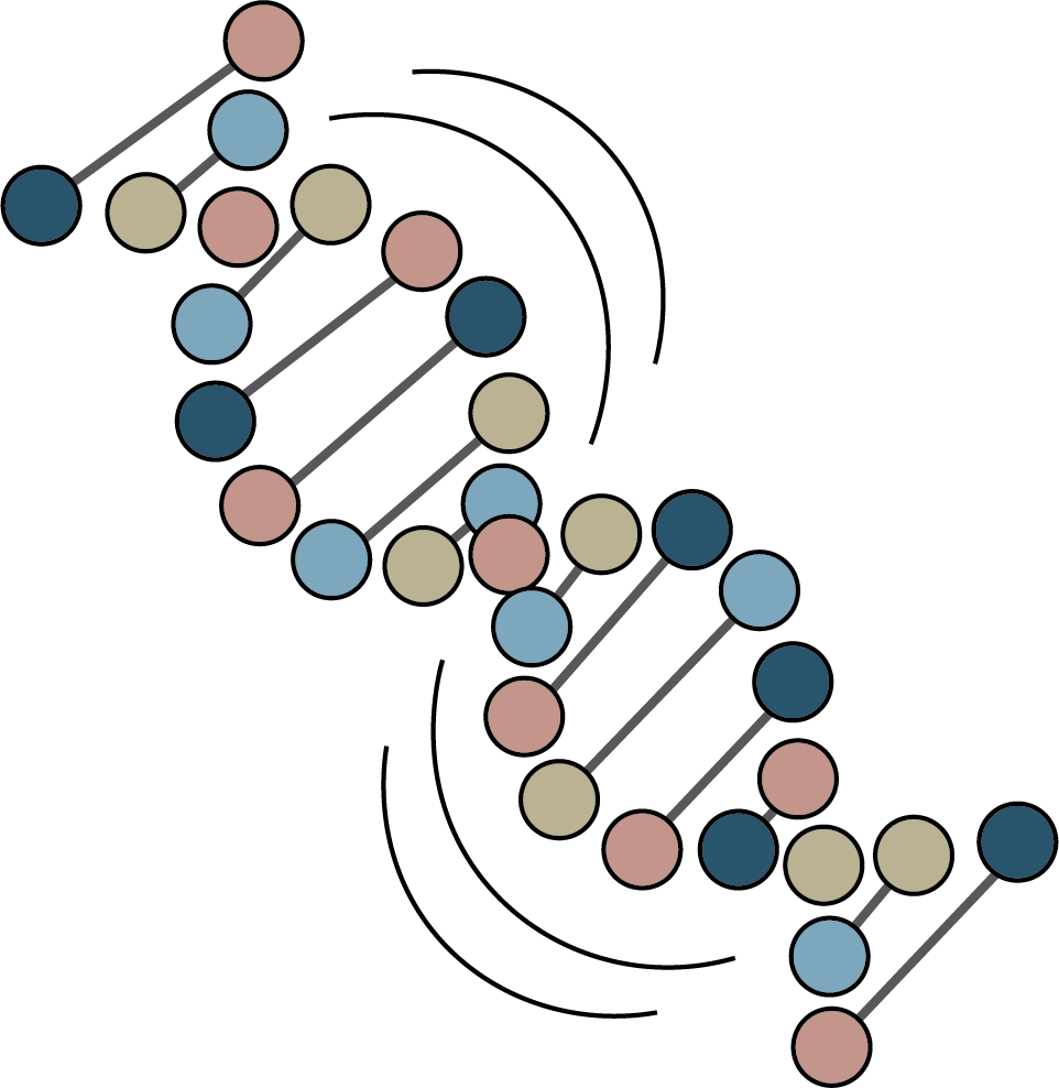 Cell Crunch logo