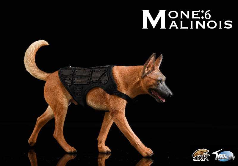 Belgian Malinois With John Wick