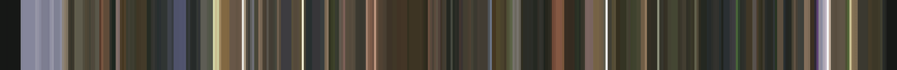 A barcode of colors from the vid Southwest Voodoo