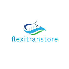 Logo FLEXITRANSTORE
