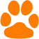 cat paw cat paw