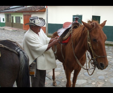 Colombia Sanagustin Horses 2
