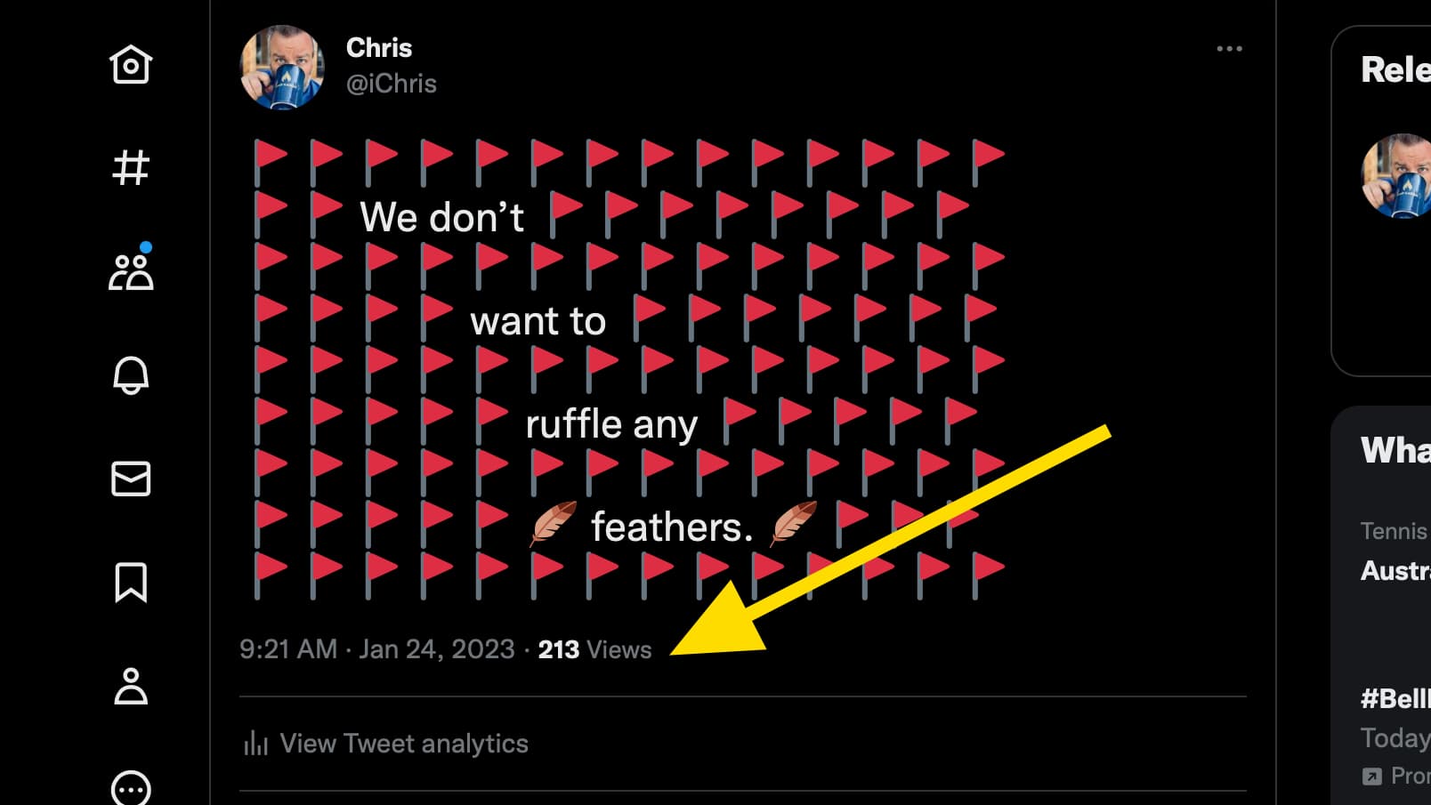 Screenshot of one of my tweets showing 213 views in the analytics.