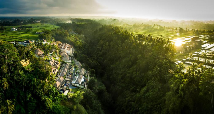 The Viceroy Bali overlooks a tropical river valley.