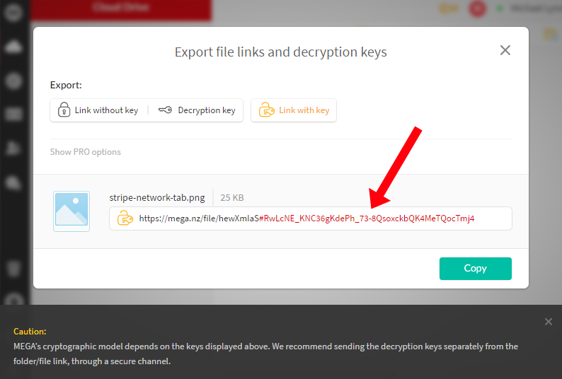 Screenshot of Mega.nz displaying encryption key in URL fragment