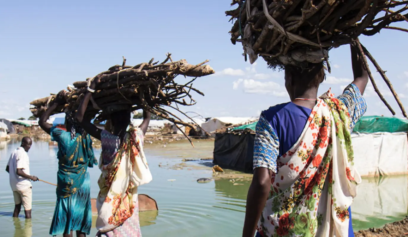 Women carry firewood back to their homes through contaminated flood water
